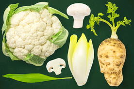 蔬菜素材