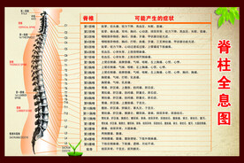 脊柱全息图海报