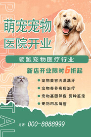 宠物海报宣传