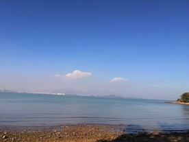 深圳坝光