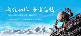 团结