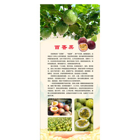百香果展架 