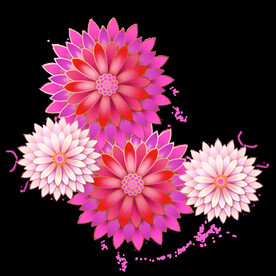 花朵素材