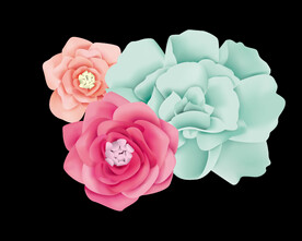 花朵素材