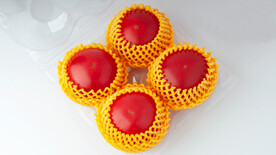 透明盒中的番茄