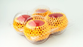 装在透明盒中的番茄