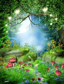 梦幻森林
