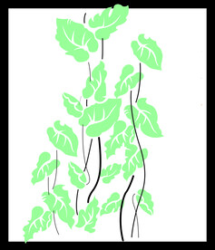 绿植绿叶植物