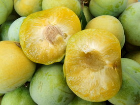 惠水县断杉镇大富之家蜂糖李