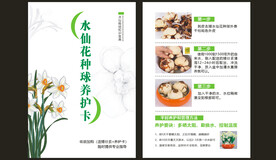水仙花