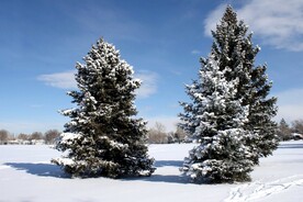 雪景