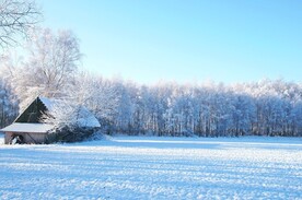 雪景