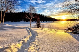 雪景