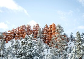 雪景