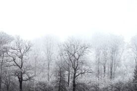 雪景