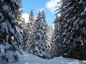 雪景