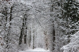 雪景