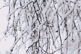 雪景