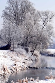 雪景