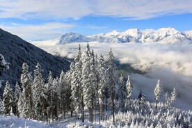 雪景