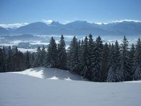 雪景