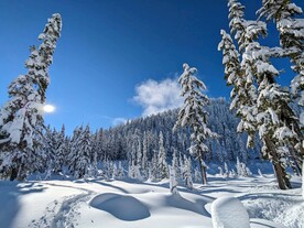 雪景