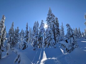 雪景