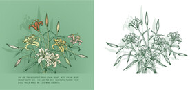 矢量鲜花