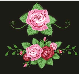 玫瑰花朵花卉 