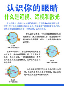 认识眼睛