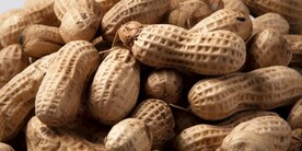 花生