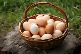 鸡蛋