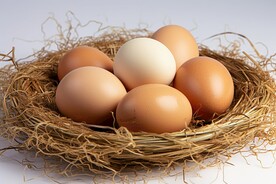 鸡蛋