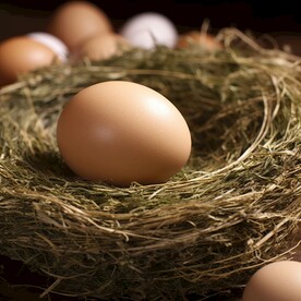 鸡蛋