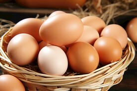 鸡蛋