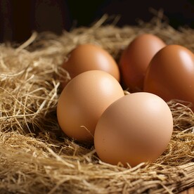 鸡蛋