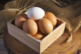 鸡蛋