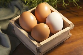 鸡蛋