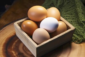 鸡蛋