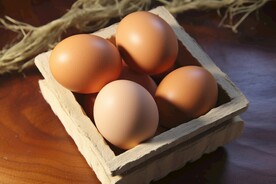 鸡蛋