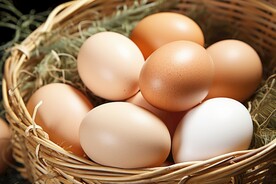 鸡蛋