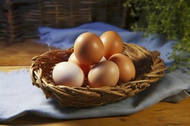 鸡蛋