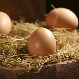 鸡蛋