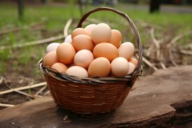 鸡蛋