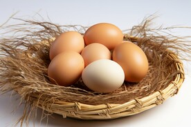 鸡蛋