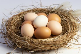 鸡蛋