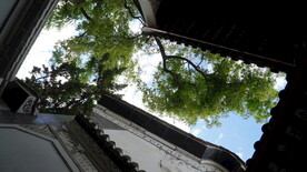 四合院内部景观