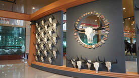 牦牛头饰展示墙
