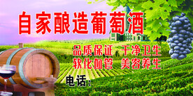 苹果贴设计