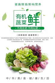 有机蔬菜